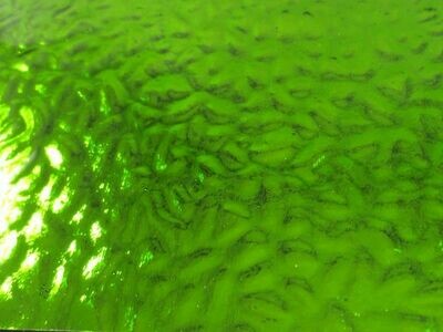 Spring Green Waves Mirror Sheet
