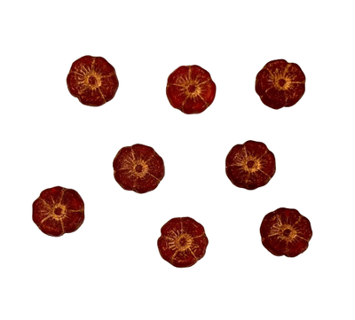 12mm Ruby Red with Copper Hibiscus Czech Flowers
