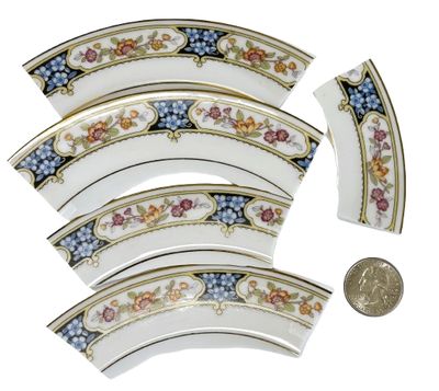 5 Long Floral Porcelain Plate Pieces