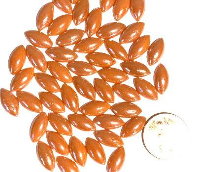 50 Pearlized Orange Glass Petals 14mm