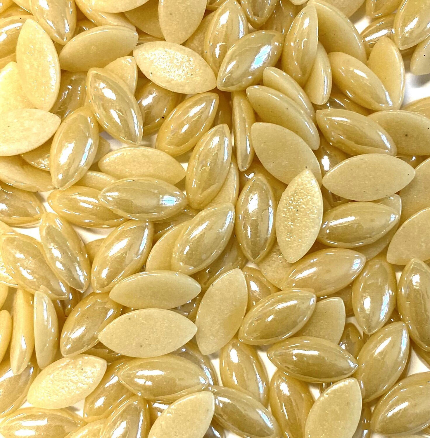 50 Pearlized Champagne Glass Petals 14mm