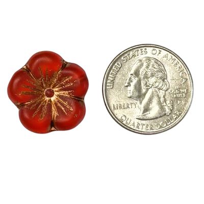 Ruby Red Hibiscus 21mm with Quarter for reference