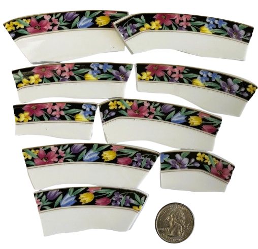 9 Long Midnight Garden China Plate Pieces