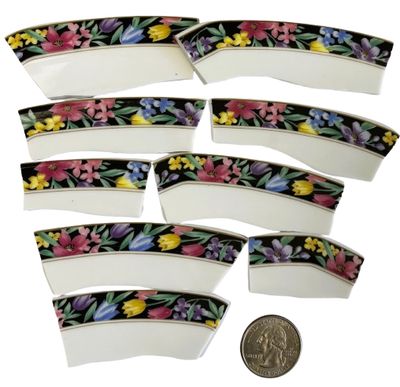 9 Long Midnight Garden China Plate Pieces