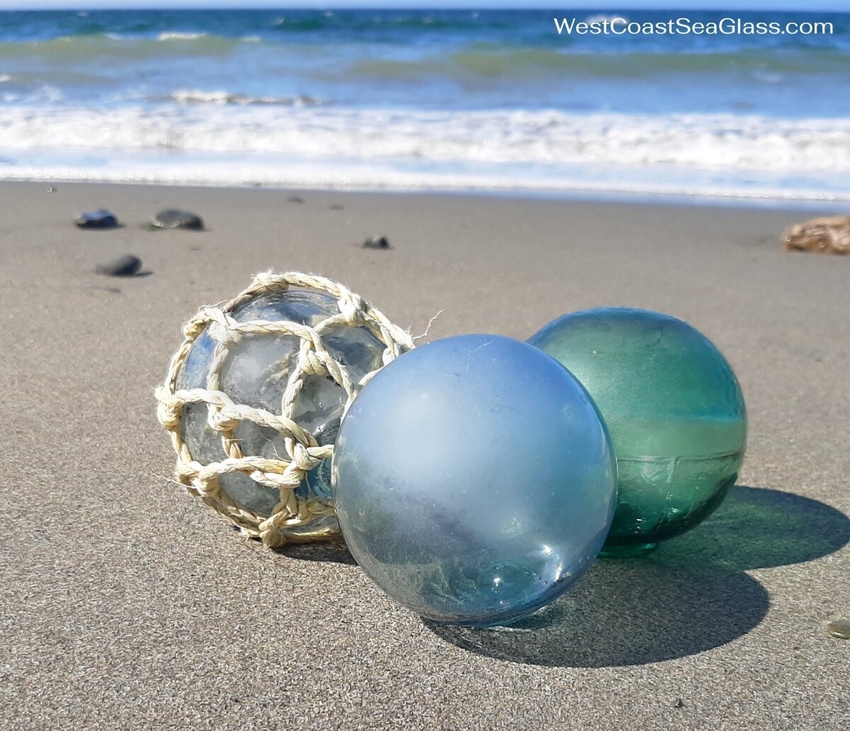 Glass Floats + Seashells Mix