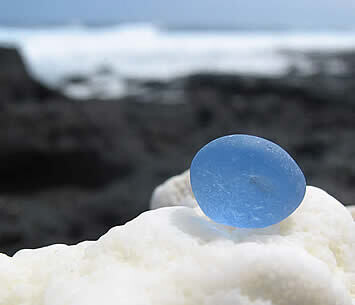 Blue on Hawaiian Coral 5x7 Photo