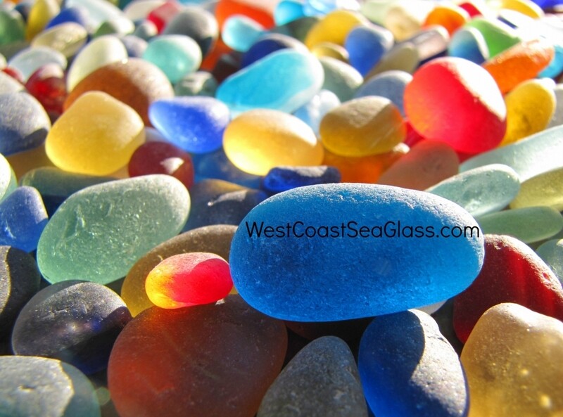 Rainbow of Colors 5x7 Photo