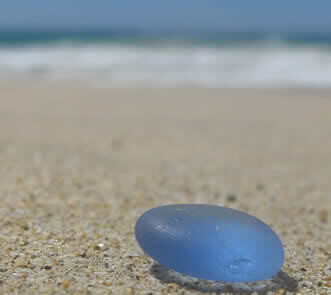 Blue on Beach 5"x7" Photo
