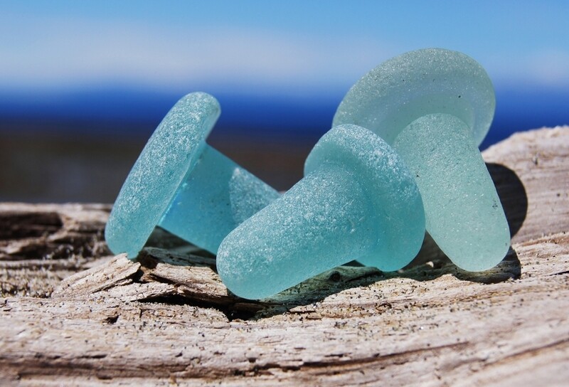 Blue Bottle Stoppers 5"x7" Photo