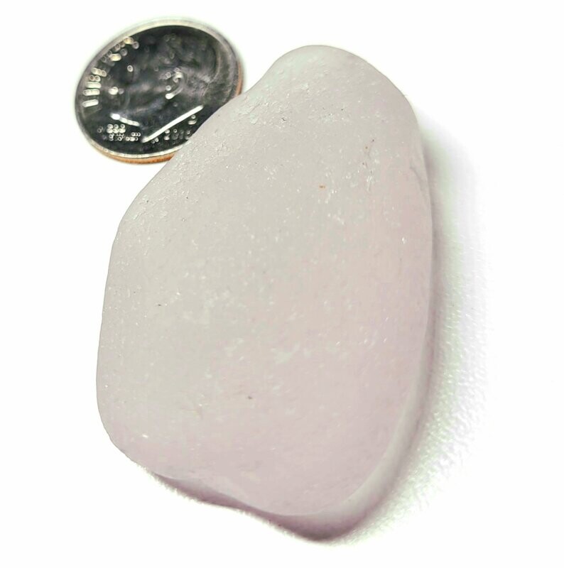 Extra Large Lavender