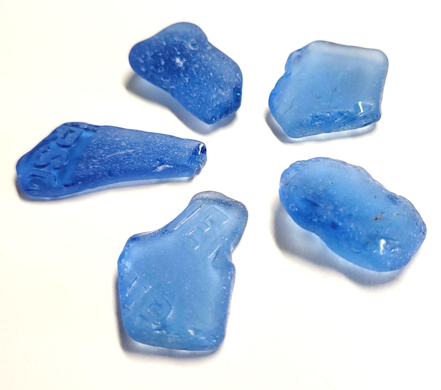 Premium Lg Cornflower Blues - 5pcs