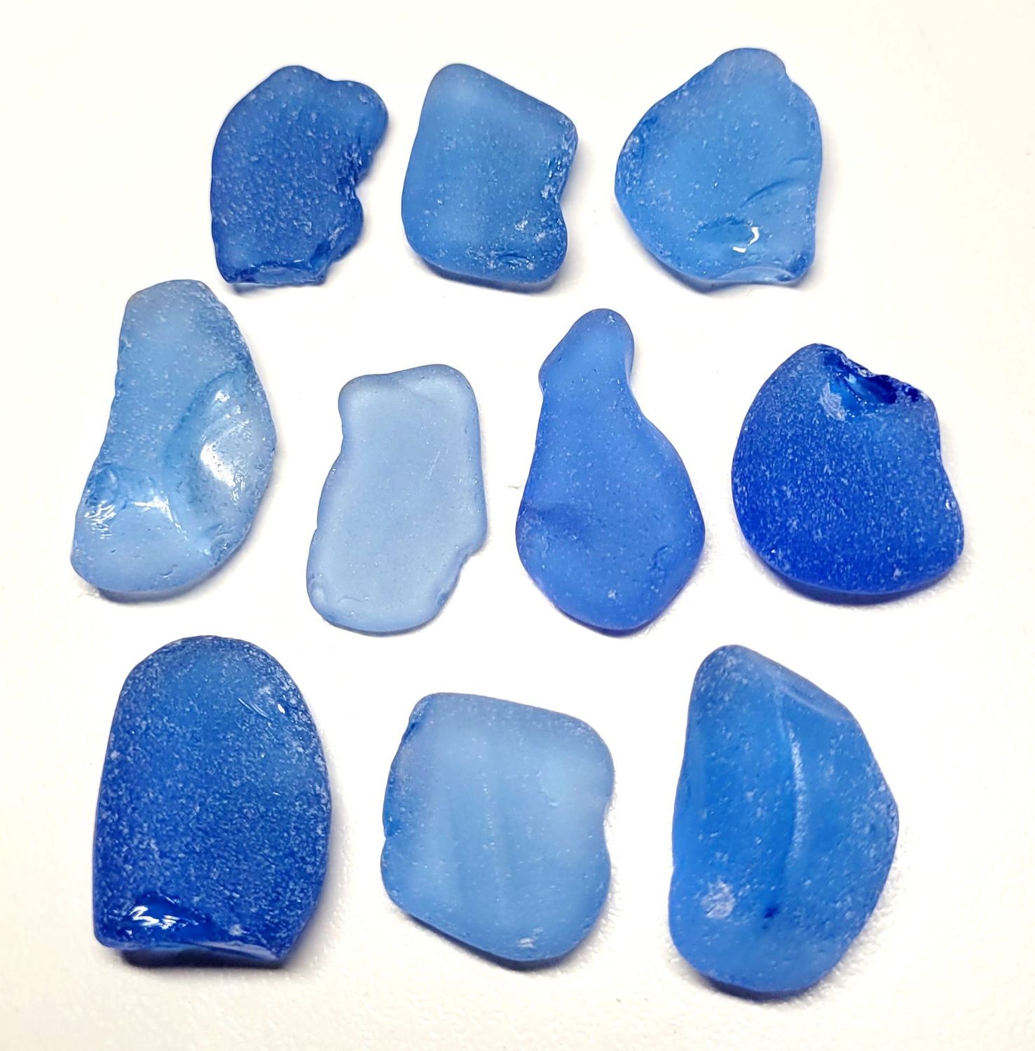 Larger Cornflower Blues Lot -  10pcs
