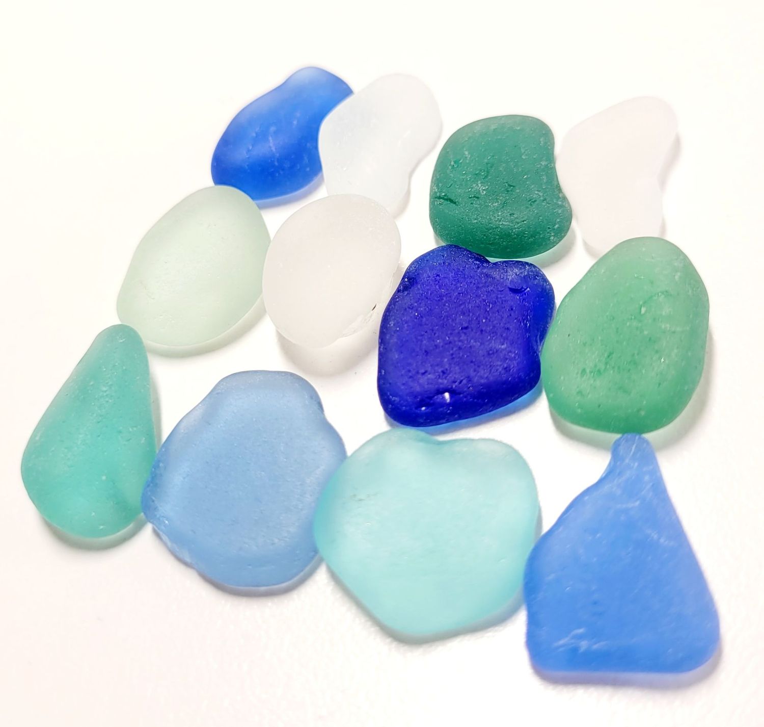 Caribbean Beauties - 12pcs