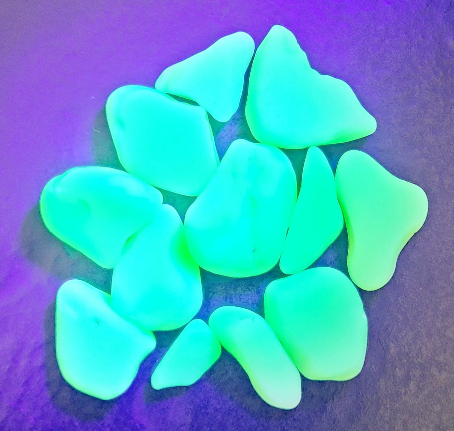 Wild UV Glowers!! - 12pcs