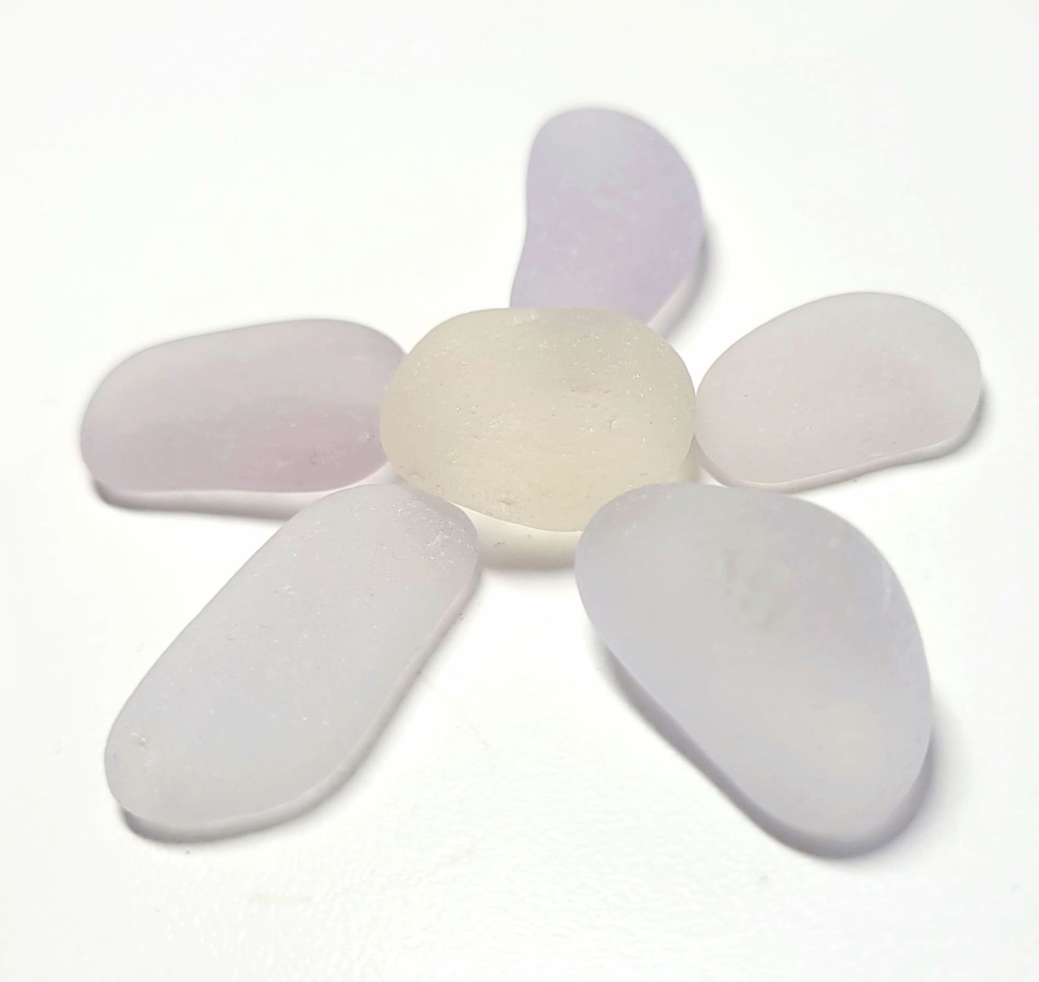 Sun-Kissed Lavender - 6pcs