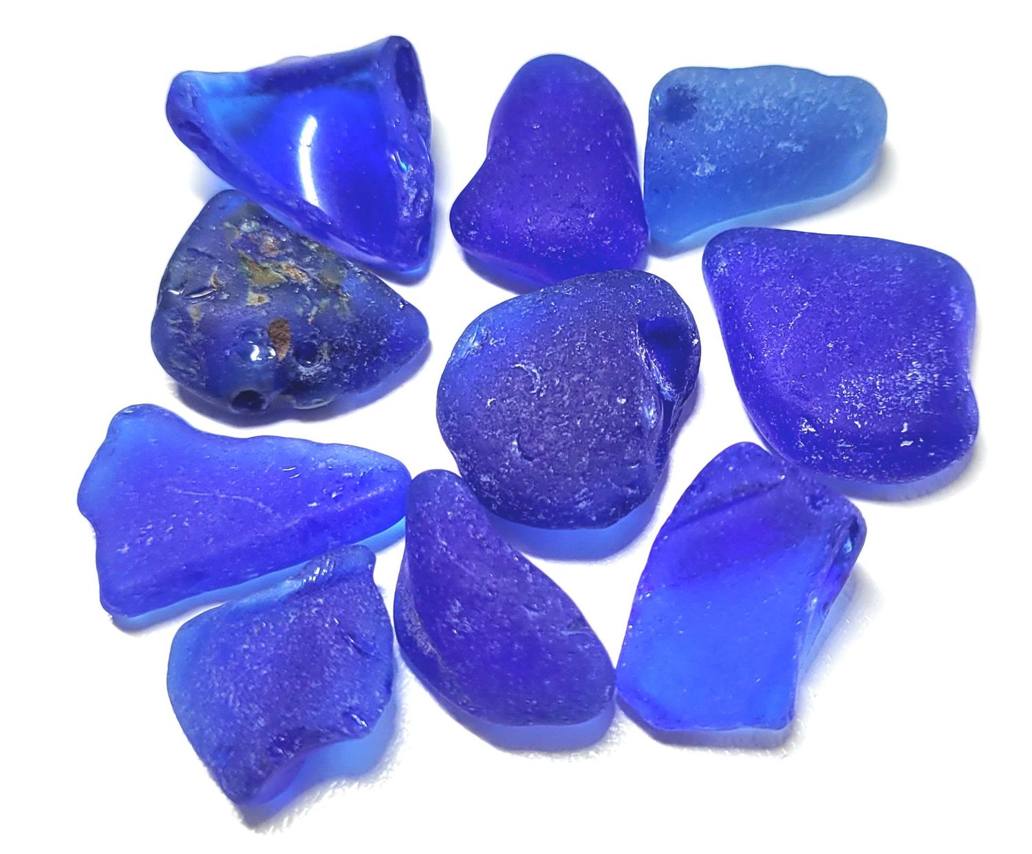 Big Blue Beauties - 10 pcs