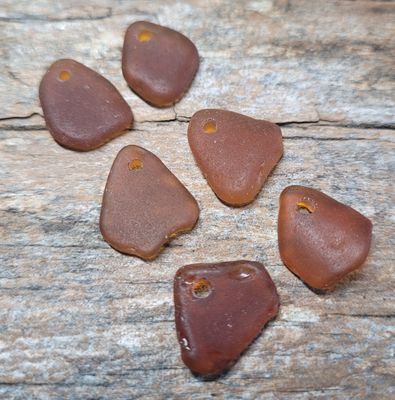 Honey Browns- Top Drilled