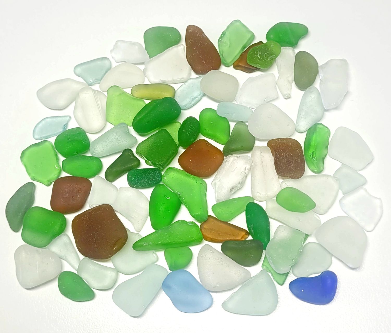 Caribbean Assortment - 75 pcs