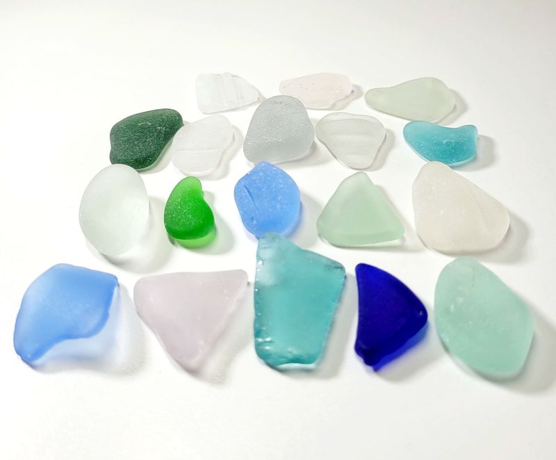 Organic Pacific Relics - 16pcs