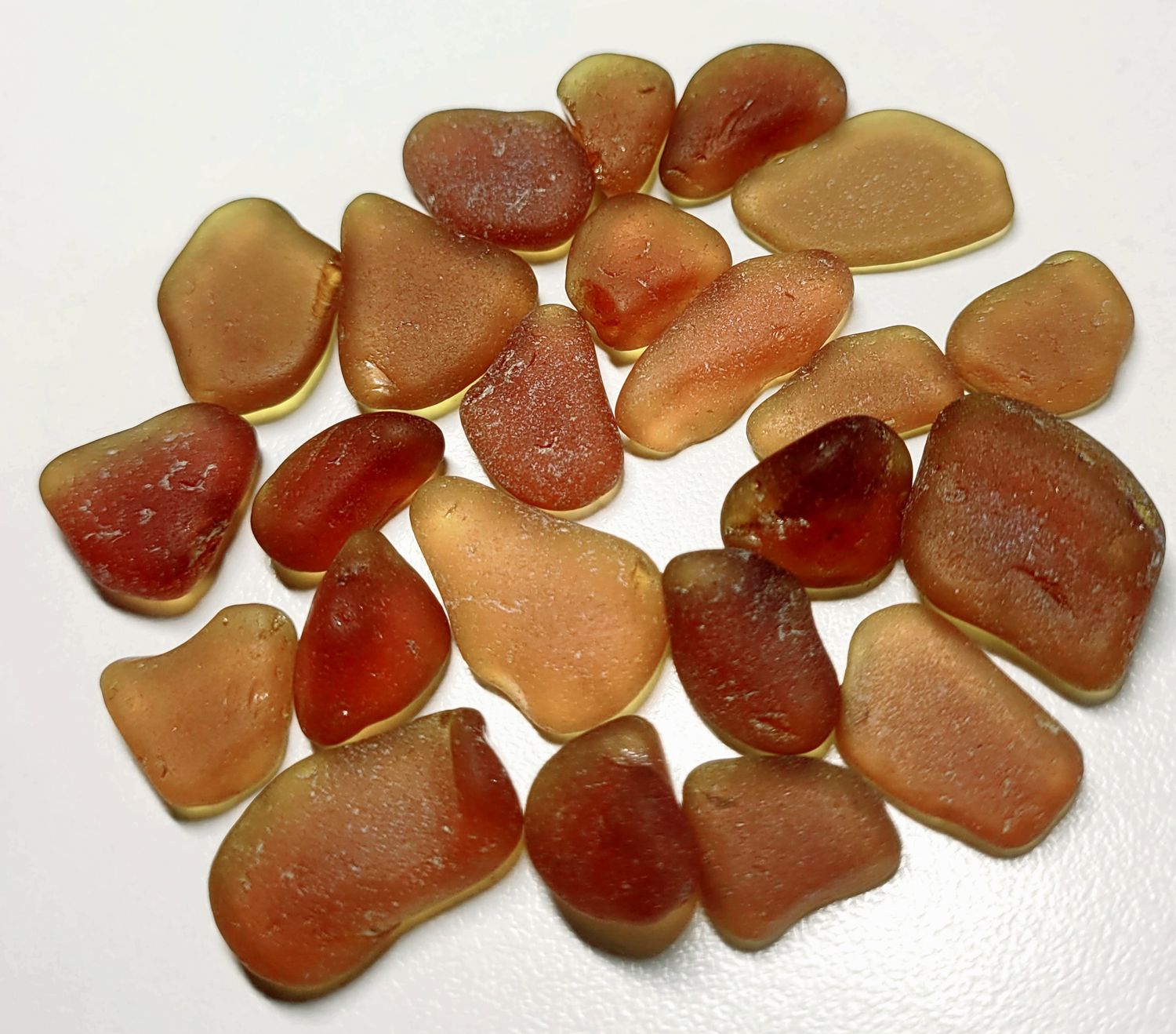 Dark Honey Browns - 23pcs