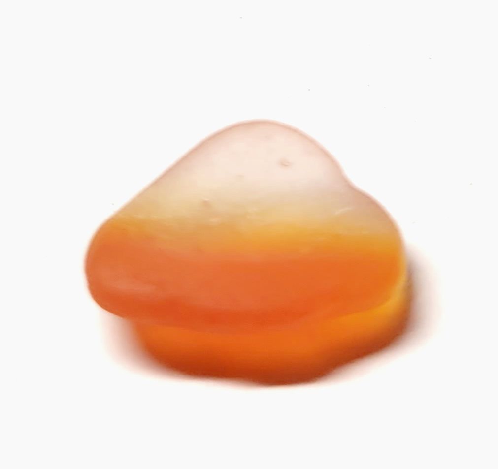 Rare Caribbean "Candy Corn"