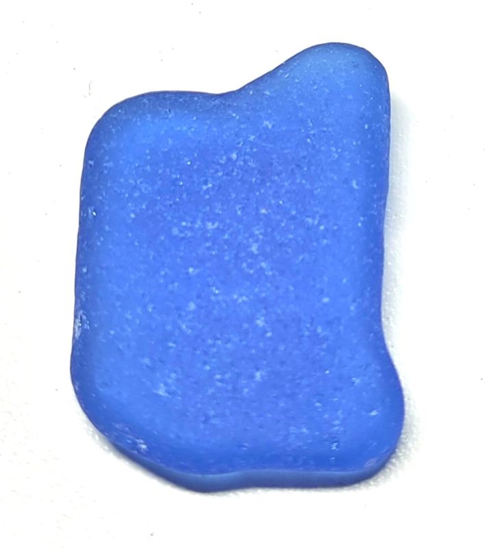 African Cornflower Blue