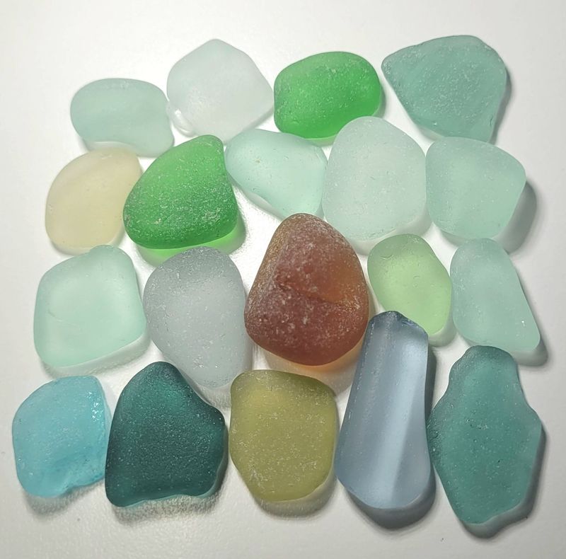 Large Organic Pacific Relics - 19pcs Large Organic Pacific Relics - 19pcs