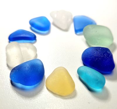 Pacific Regal Mix - 10pcs Pacific Regal Mix - 10pcs