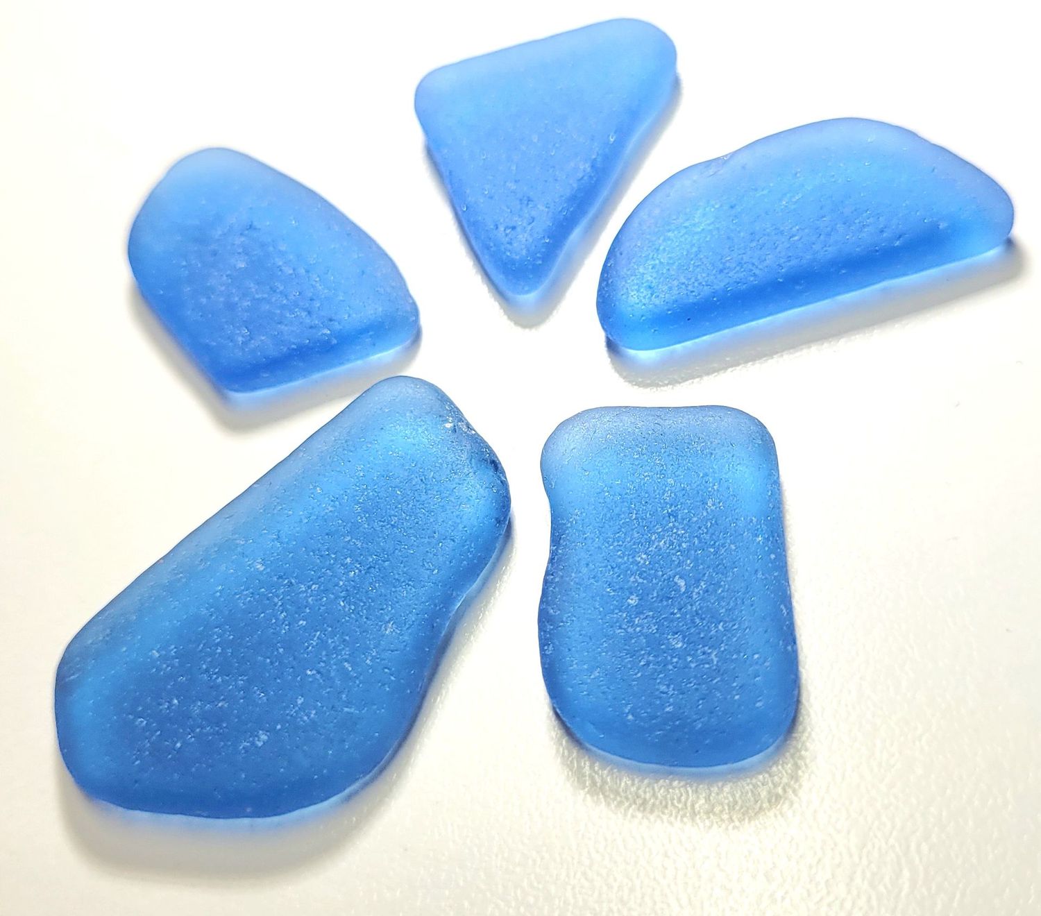 African Cornflower Blues - 5pcs African Cornflower Blues - 5pcs