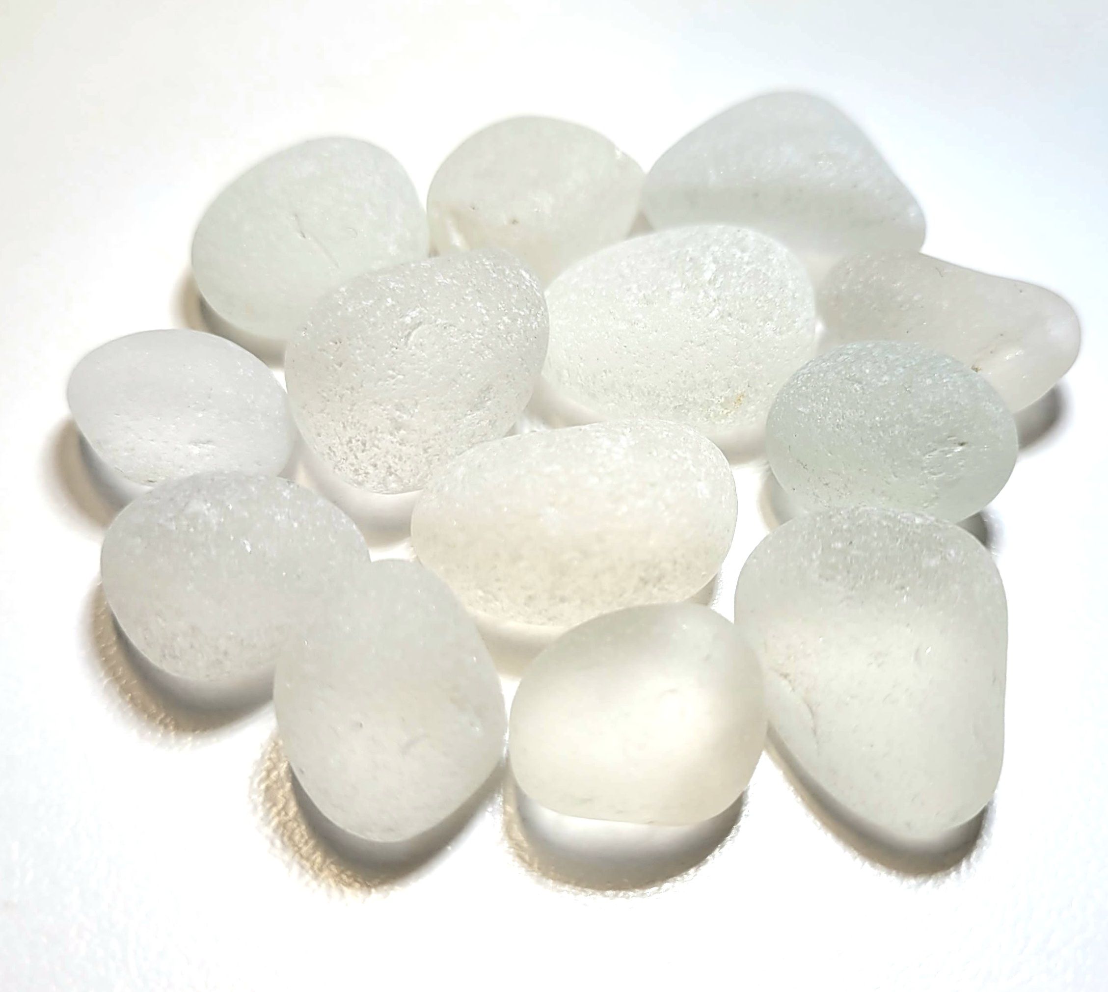 Frosty Bulbous Whites - 12pcs