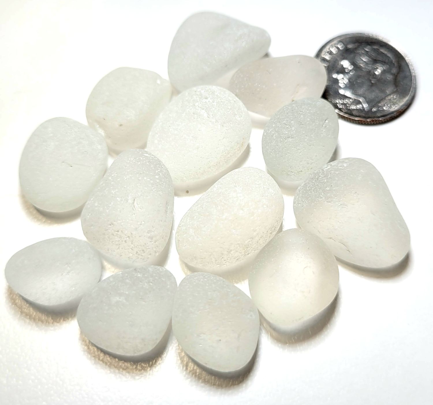 Frosty Bulbous Whites - 12pcs