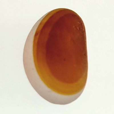 U.K. Multicolored Brown