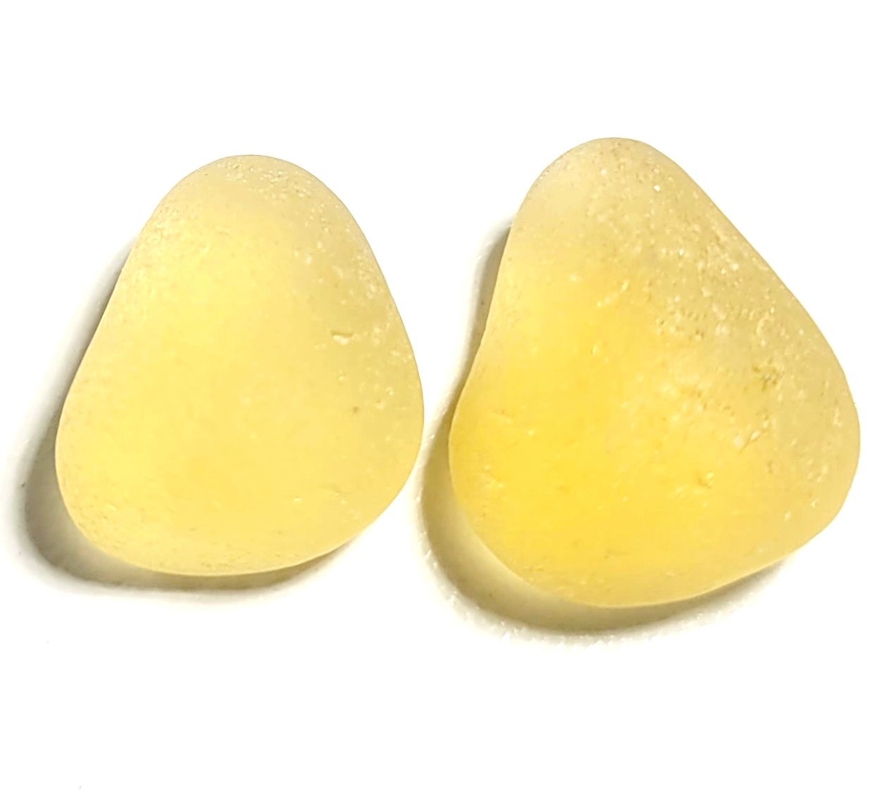 Golden Yellows-2pcs Golden Yellows-2pcs