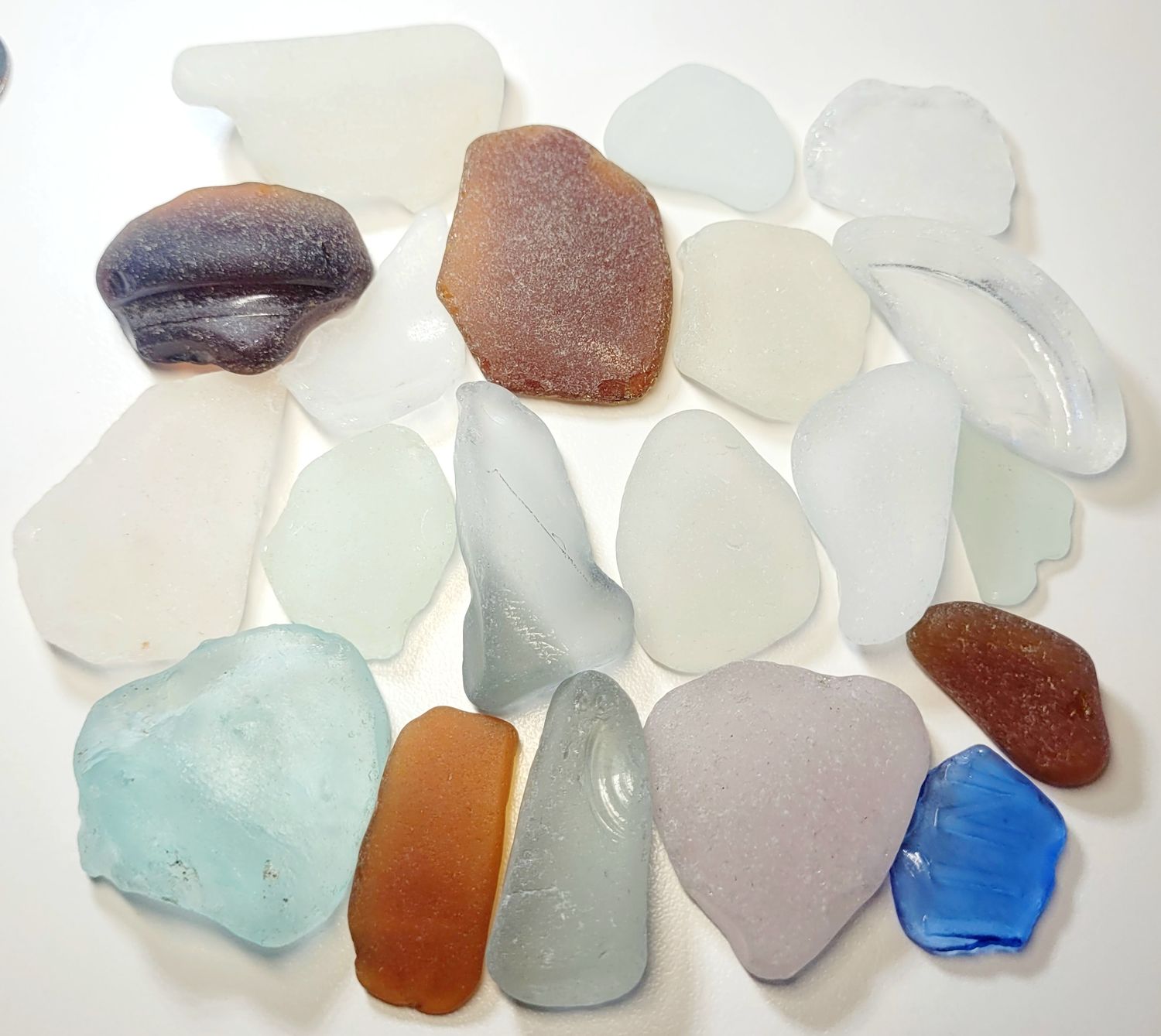 Bottle Oddities - 20pcs Bottle Oddities - 20pcs