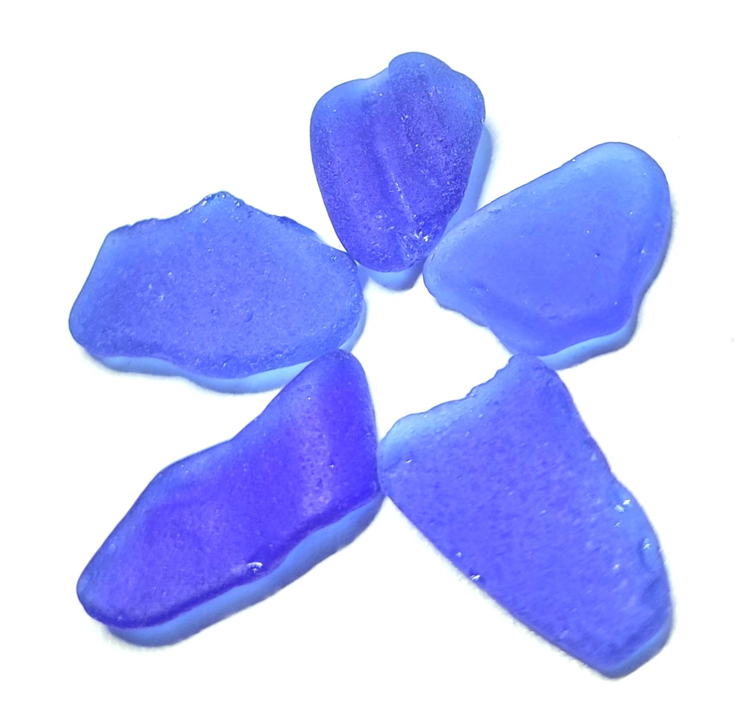 Caribbean Larger Cobalt - 5pcs Caribbean Larger Cobalt - 5pcs