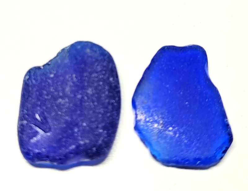 Largest Pacific Blues - 2pcs Largest Pacific Blues - 2pcs