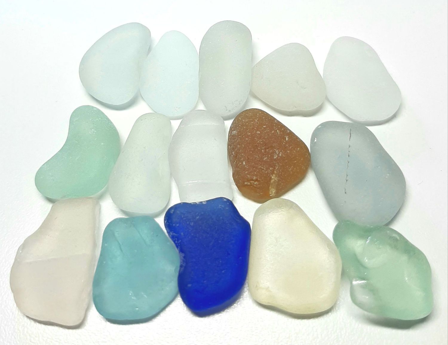 Good Sized Pacific Mix - 15pcs