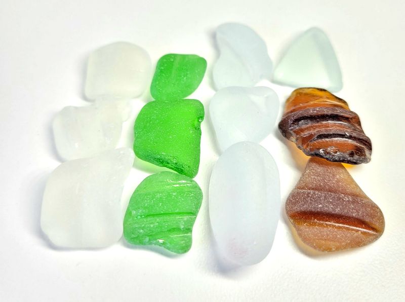 Pacific Bottle Neck Pieces - 12pcs Pacific Bottle Neck Pieces - 12pcs