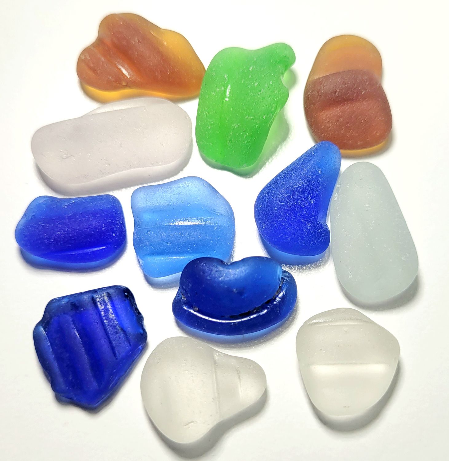 Oceanic Bottle Necks & Rims - 12pcs