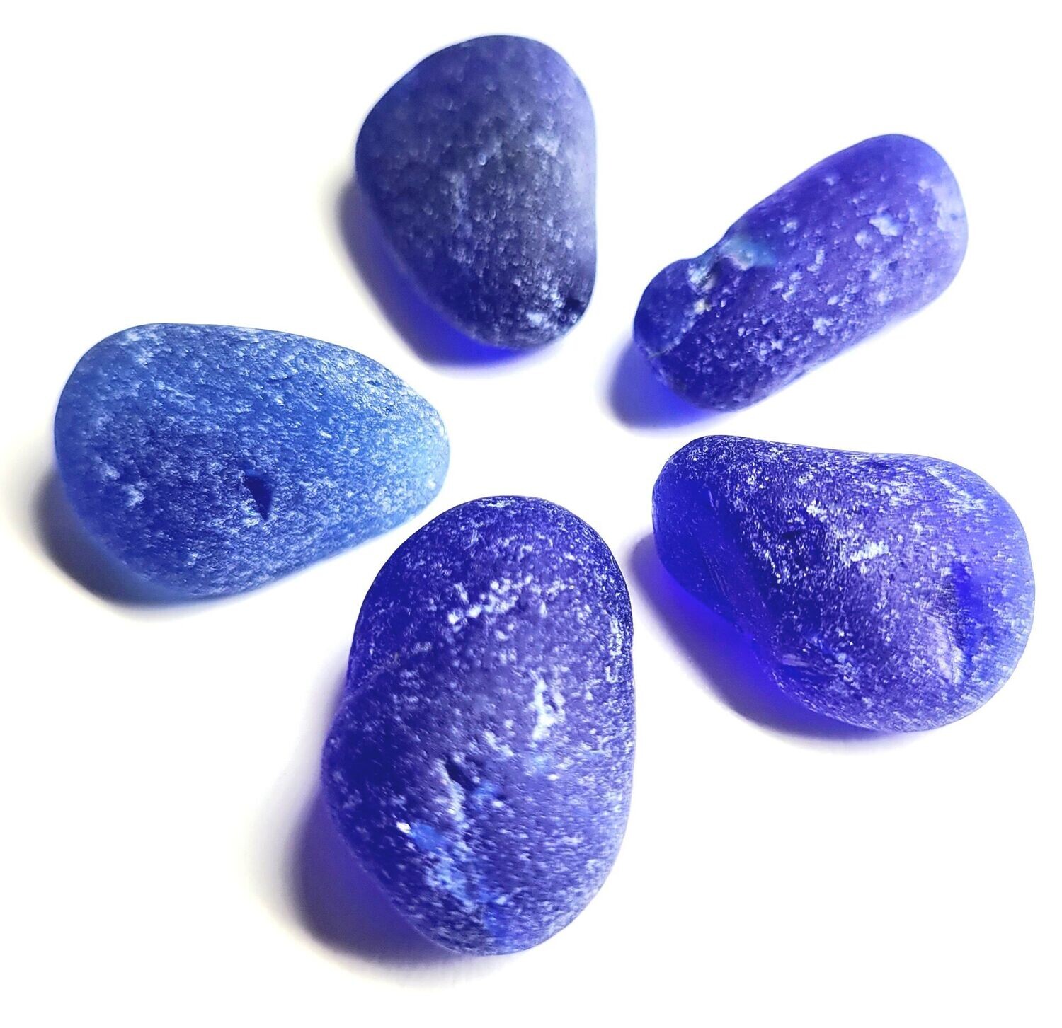 Lg Pacific Cobalt Blues - 5pcs Lg Pacific Cobalt Blues - 5pcs