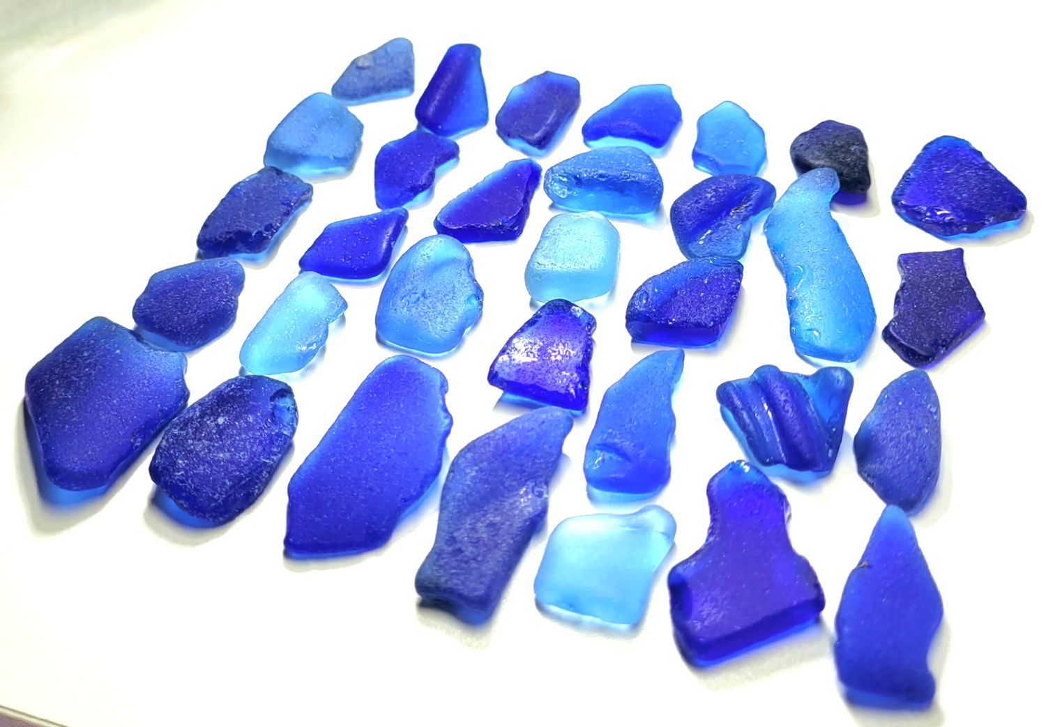 Largest Organic Cobalt Blues - 32pcs