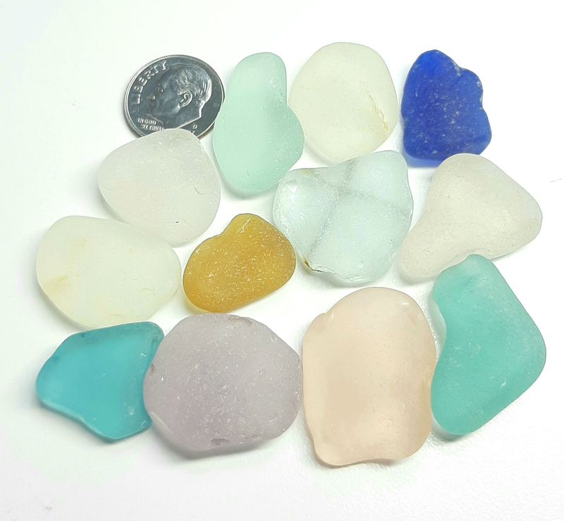 Larger Pacific w/ Pink & Lavender - 12Pcs