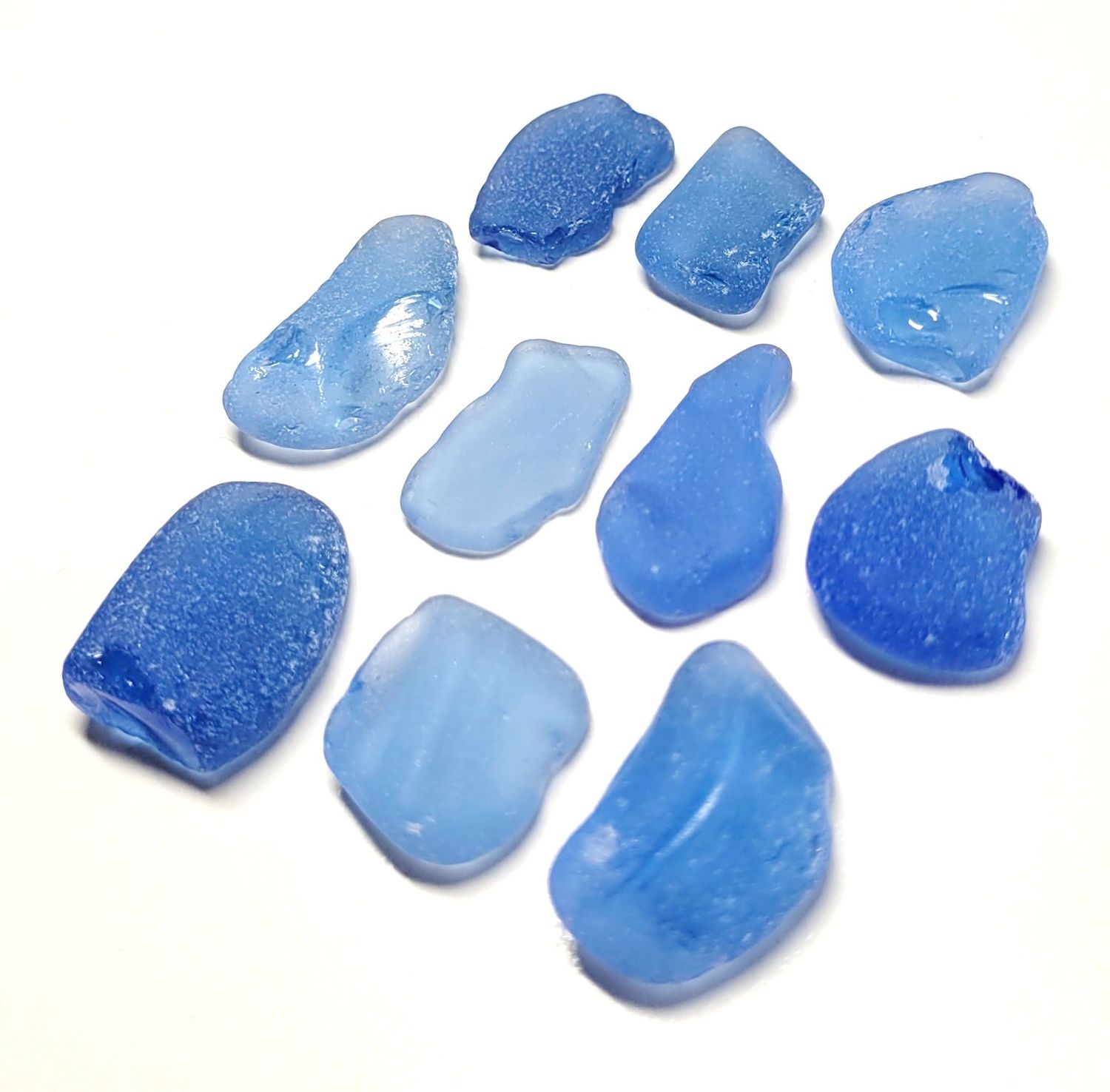 Larger Cornflower Blues  -  10pcs