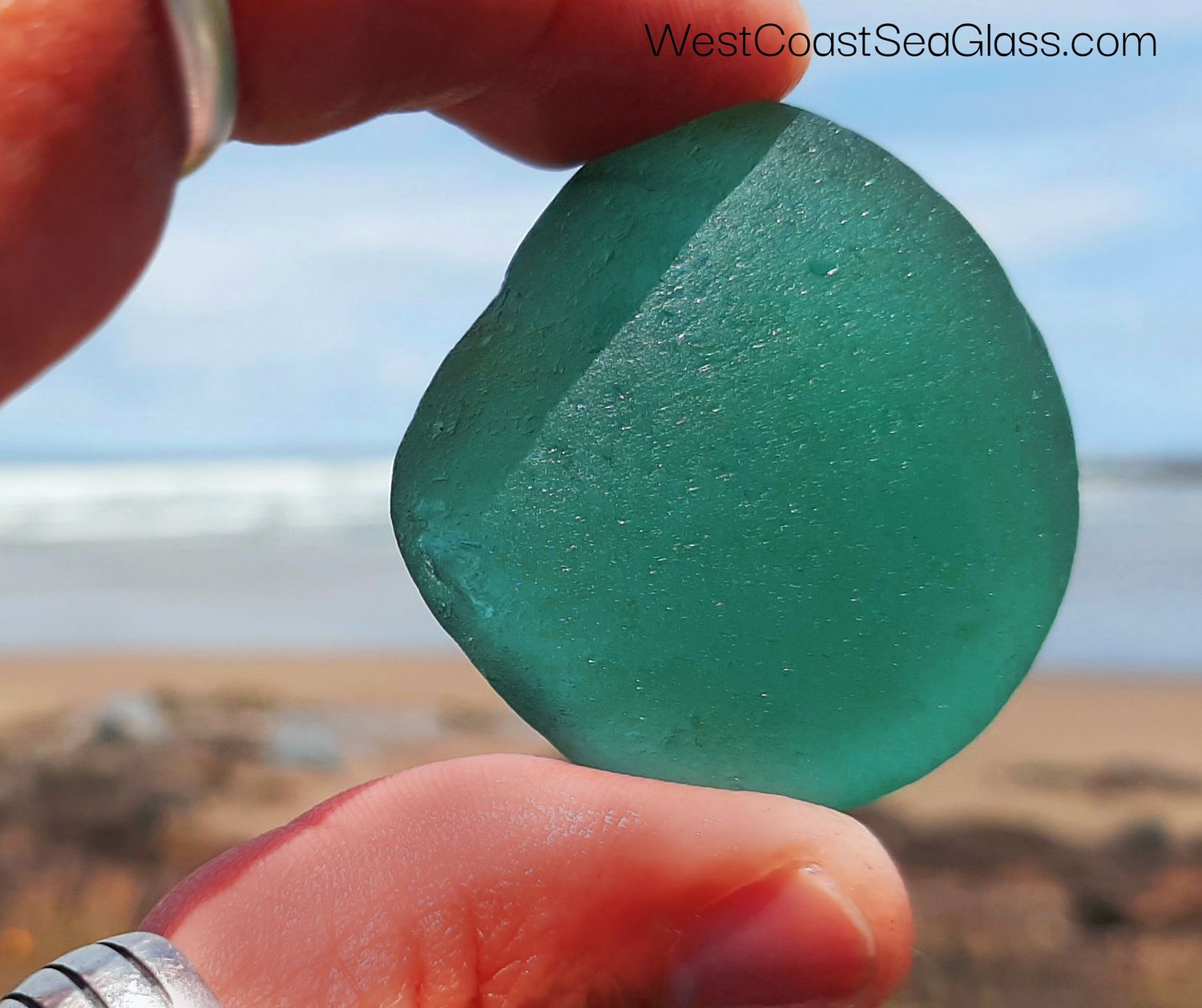 Huge Dark Teal Huge Dark Teal