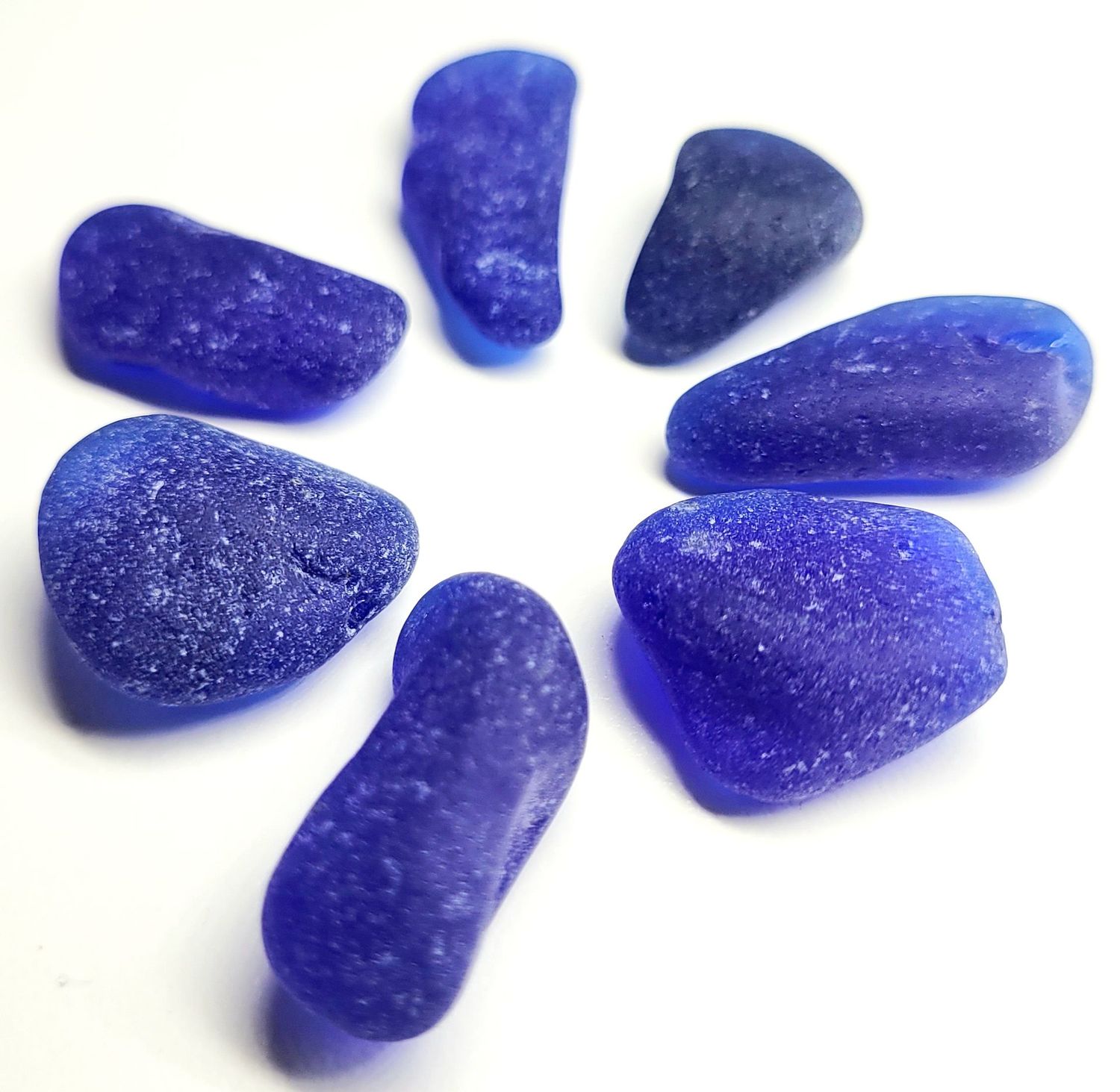 Large Dark Cobalt Caribbean - 7pcs