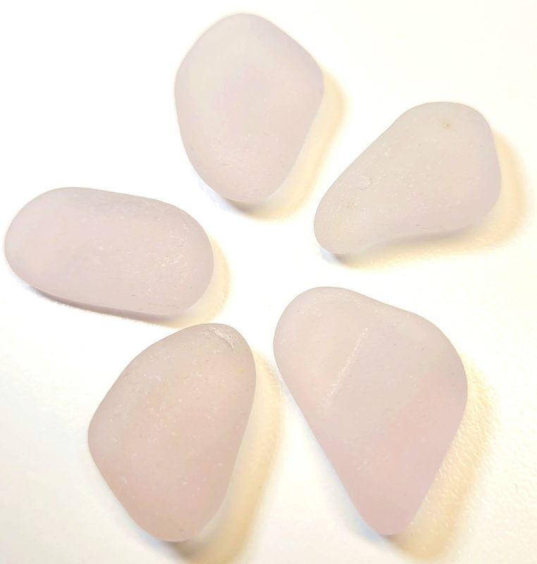 Sun Lavenders Premium - 5pcs