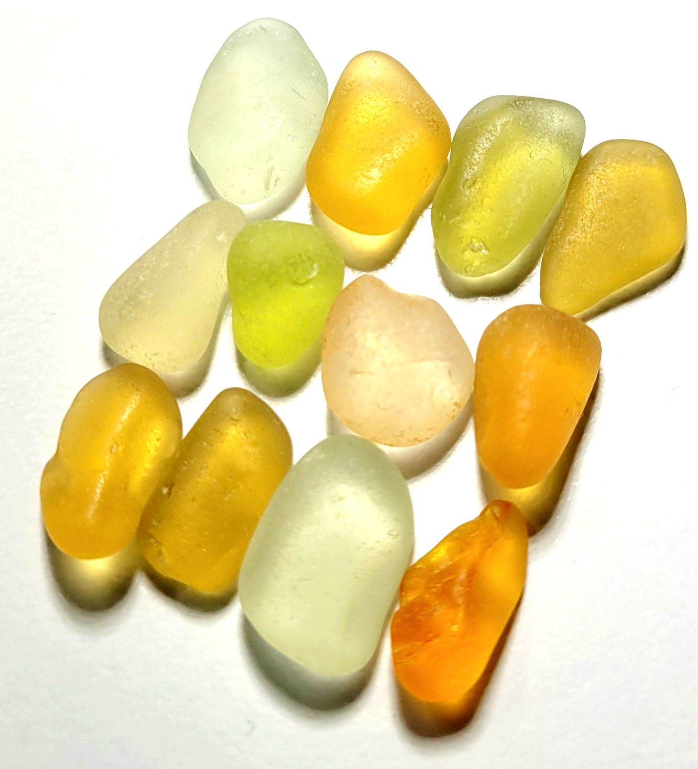 Dreamy Golden Yellows & Orange - 12pcs