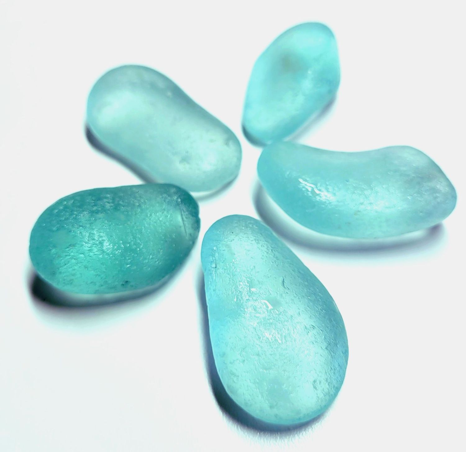 Huge Aqua Beauties - 5pcs