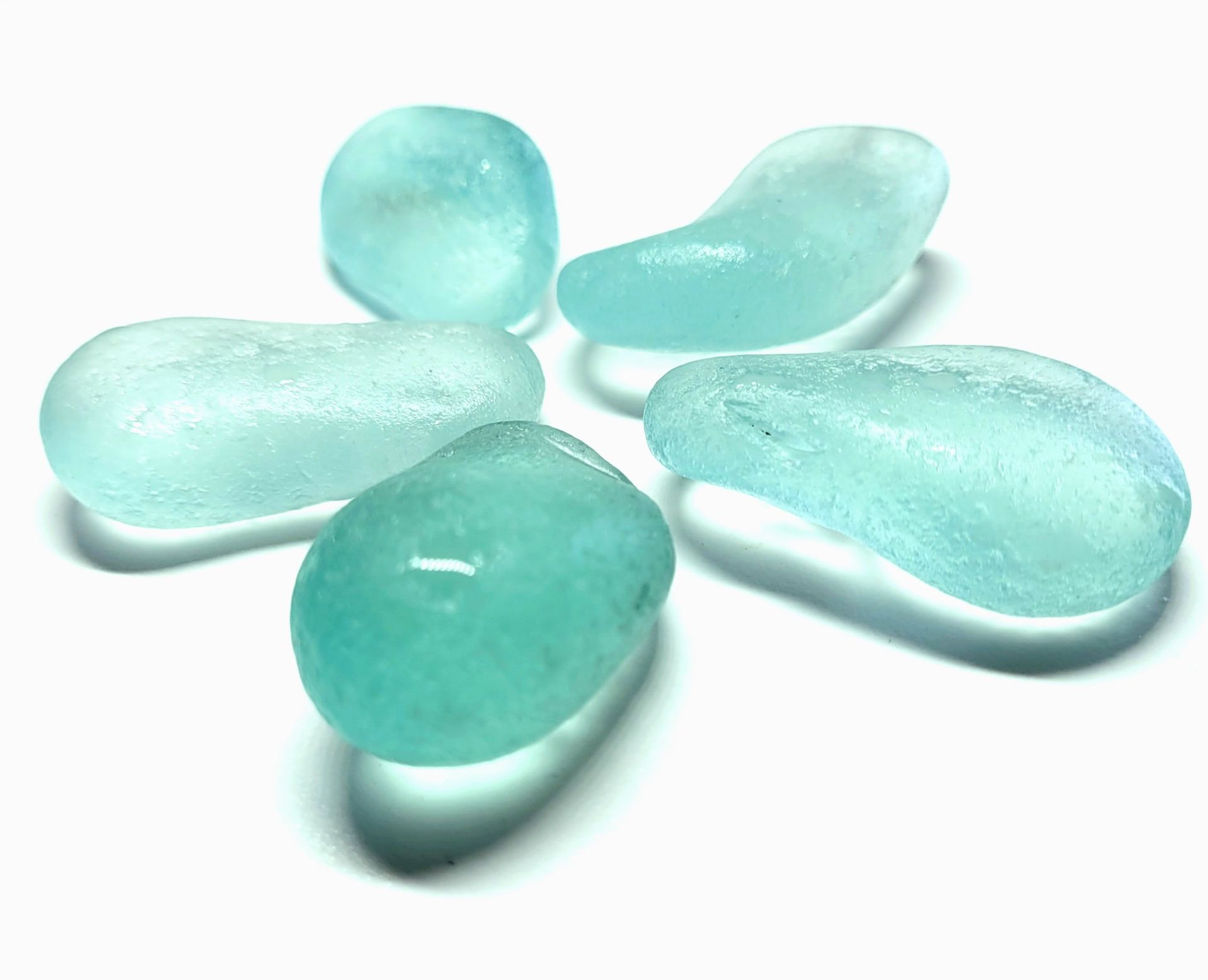 Huge Aqua Beauties - 5pcs