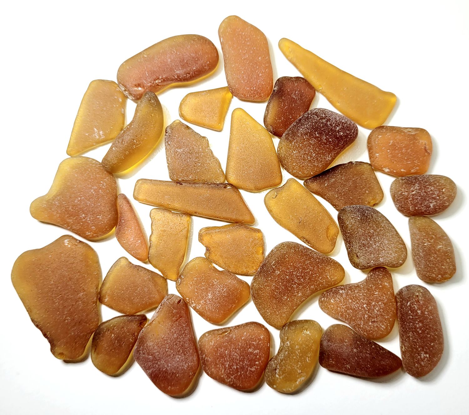 Honey Browns -32pcs